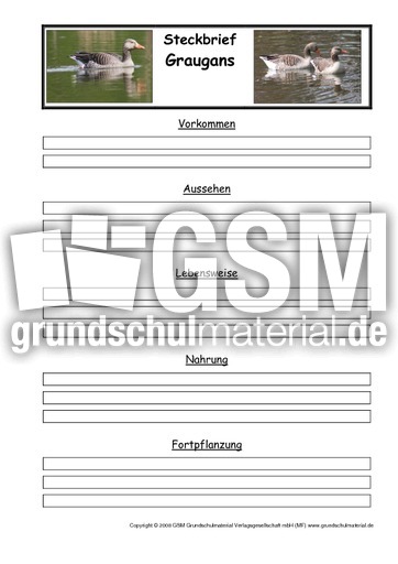 Steckbriefvorlage-Graugans.pdf